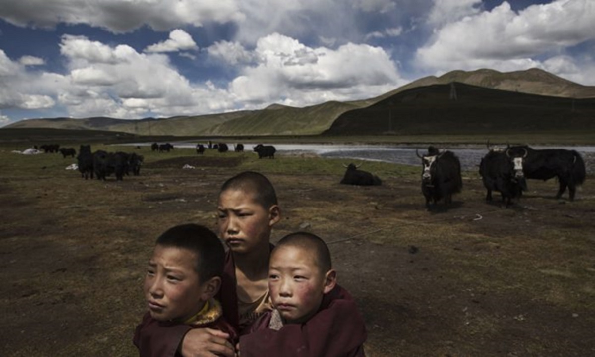 revolusi kebudayaan tiongkok di tibet